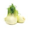 Baby Fennel