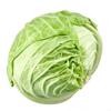 Cabbage