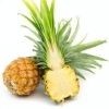 Baby Pineapple