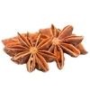 Star Anise